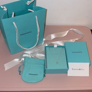 Tiffany & Co. Open Heart Pendant Necklace (AUTHENTIC)